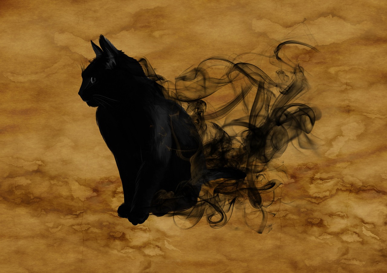 cat, surreal, silhouette-1002850.jpg